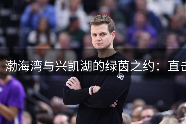 渤海湾与兴凯湖的绿茵之约：直击大连鸡西"东北超"城市对决